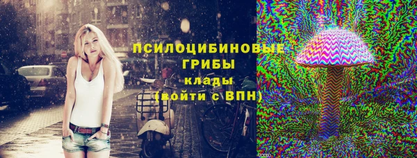 apvp Белокуриха
