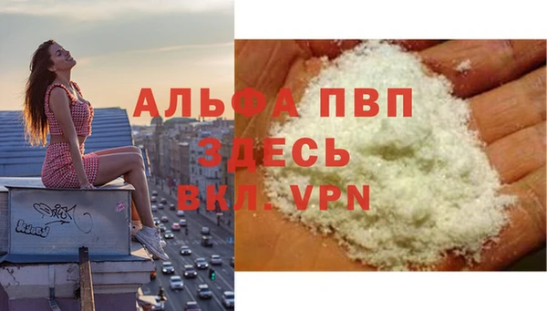 apvp Белокуриха