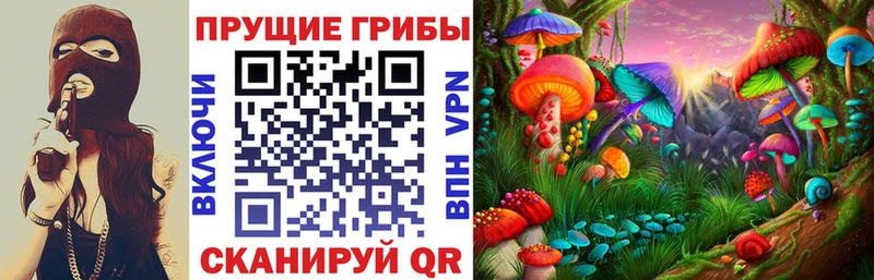 Псилоцибиновые грибы мицелий  Кувшиново 